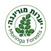יערות מורינגה